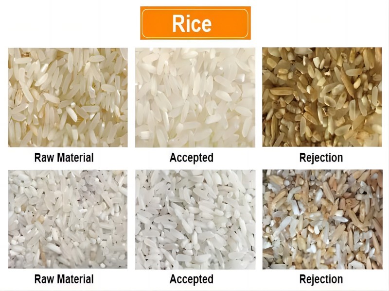Machine de tri de couleur de riz avec prix usine bon marché