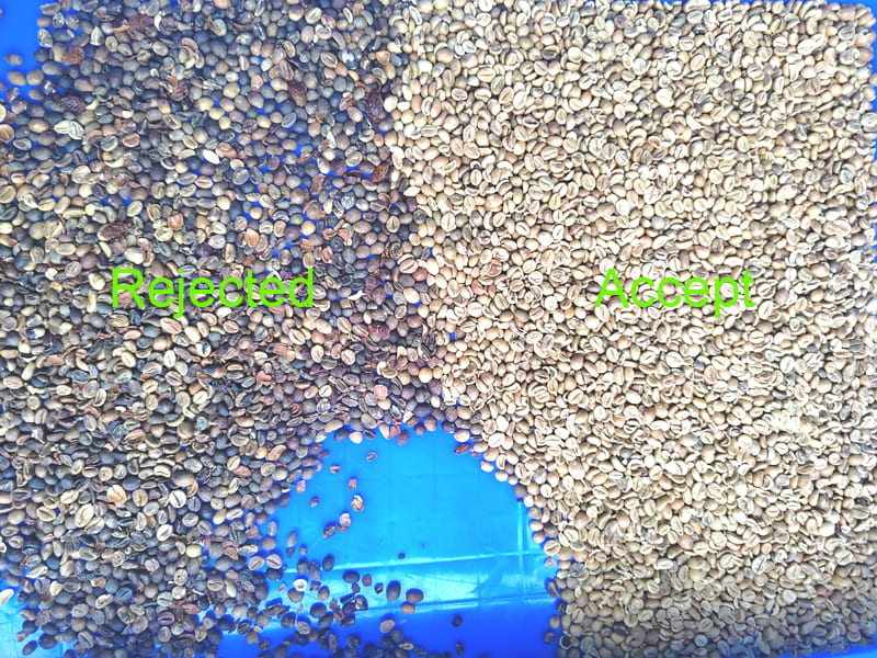 Trieur de couleurs de grains de café utilisé sur le site client