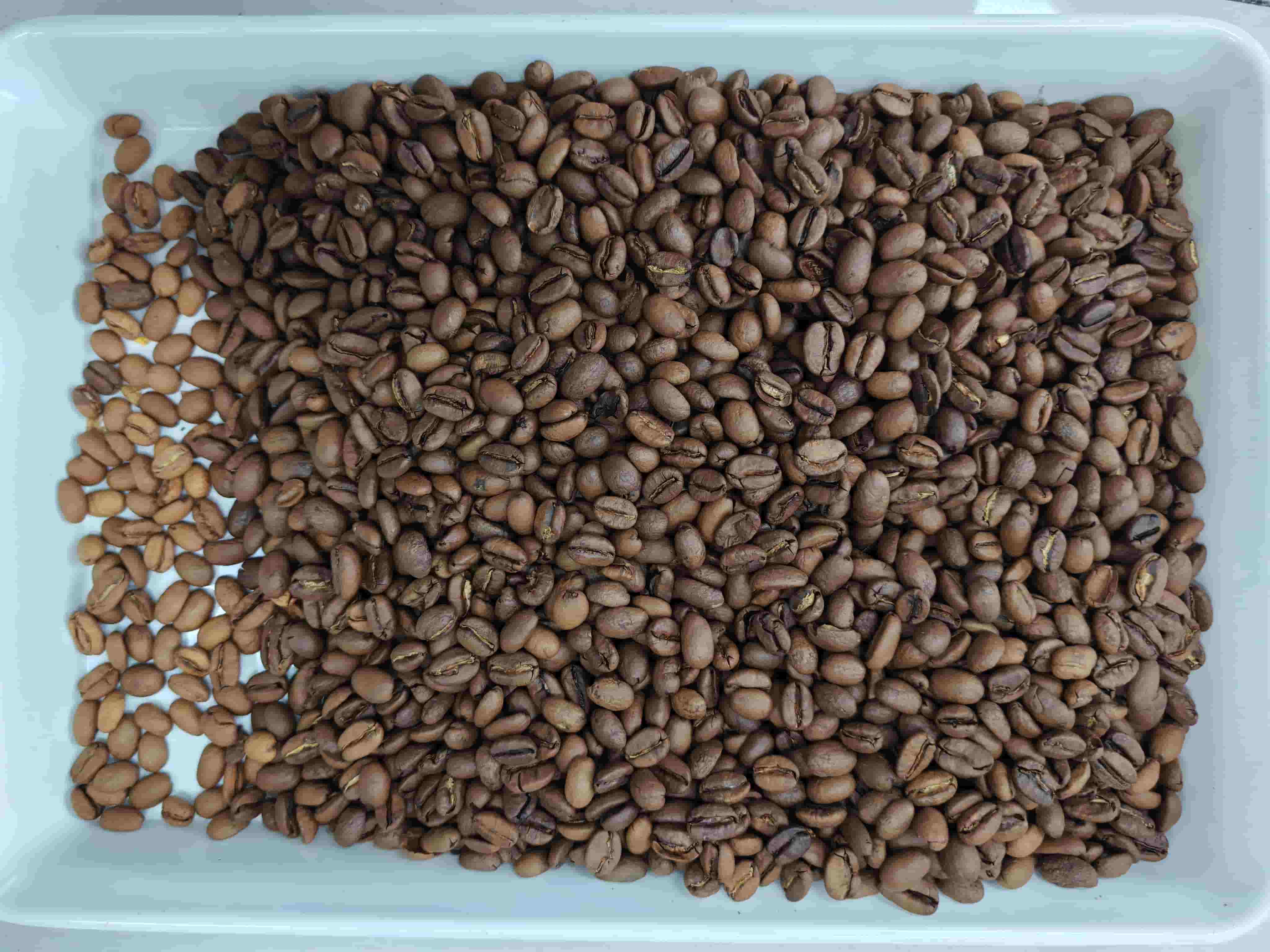 Trieur de couleurs multifonction Topsort 1 goulotte de grains de café torréfiés
