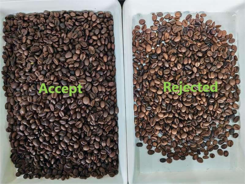 Trieur de couleurs TOPSORT MINI triant les grains de café sur le site client ukrainien