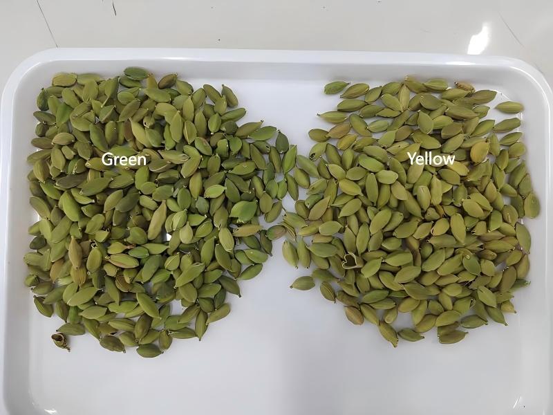 Trieur de cardamome par couleur Topsort avec des performances exceptionnelles