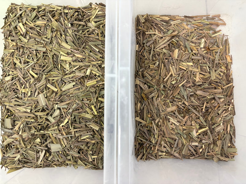 Machine de tri de citronnelle par couleur TOPSORT avec télécommande