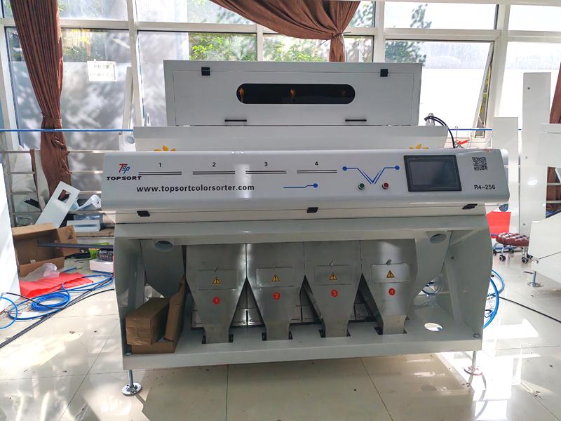 color sorter for wheat