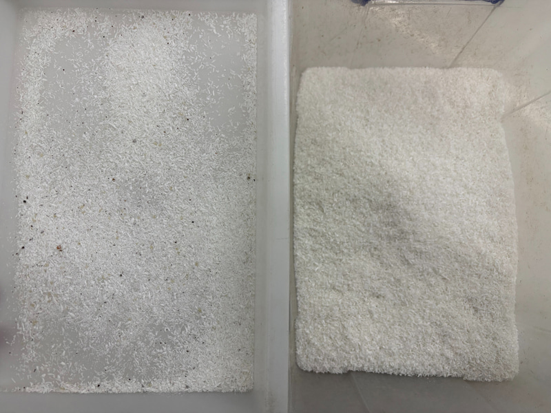 TOPSORT, trieur de couleurs par IA de haute précision pour flocons de noix de coco