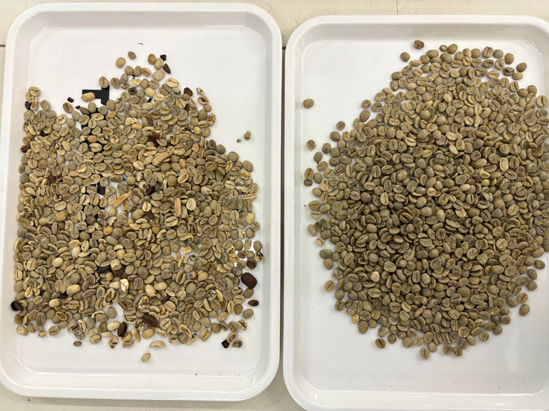 TOPSORT, trieuse de couleurs de grains de café par intelligence artificielle dotée d'une nouvelle technologie d'apprentissage profond