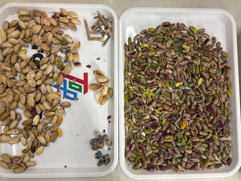 TOPSORT, trieuse de pistaches par couleur IA avec les derniers algorithmes d'apprentissage profond