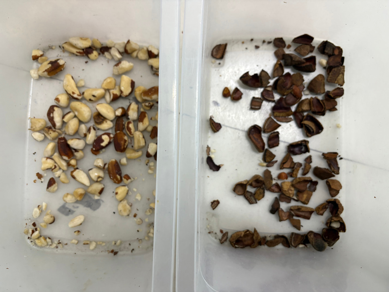 TOPSORT AI deep learning matana nut color sorter