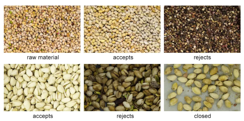 pistachio color sorter