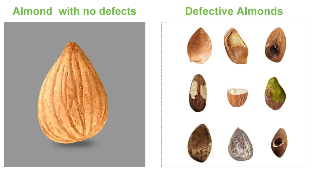 ai almond sorter