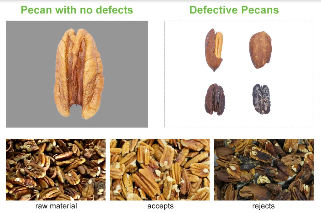 pecan sorter ai