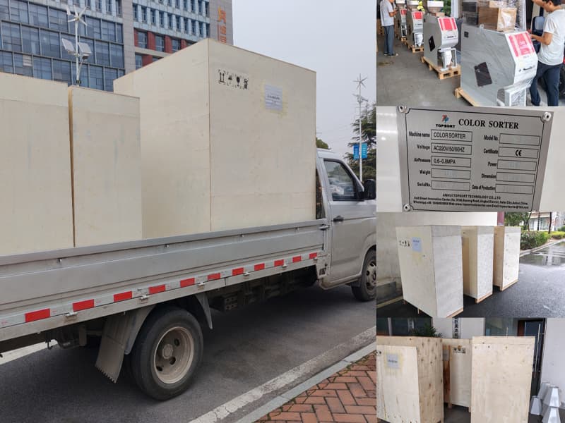 Color sorter machine wooden crate packaging