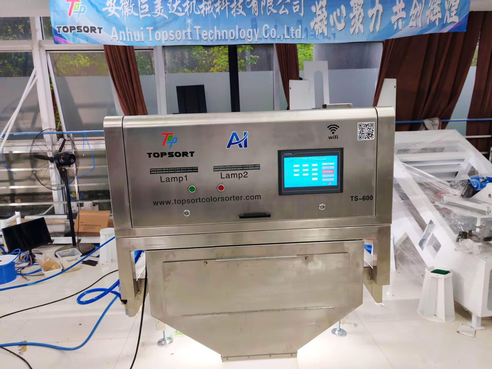 AI garlic color sorter